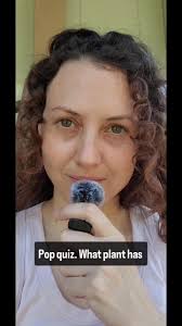 #TraditionalHerbalism #OrganicSkincare #SensitiveSkinCare  #BotanicalExfoliation #AcneSkincare #CleanBeauty #HerbalInfusion  #SlowBeauty #CastorOil #MTHFR #ChemicalFreeSkincare #AntiInflammatory ...