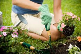 5 Conseils Pour Bien Entretenir Son Jardin En 2020 Jardins Green Concept Massif Fleurs