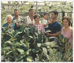 כפר השעשועים הינה רשת חנויות צעצועים, משחקים, מכשירי כתיבה, מוצרי פופ ומוצרים עונתיים שנותנת מענה למגוון צרכיה של המשפחה הממוצעת, המתוקצבת בזמן ובכסף. ×¨××©×™ ×ž×©×ª×œ×•×ª ×©×¤×¨