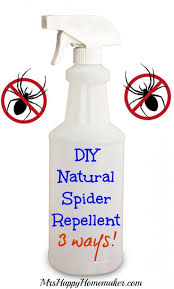 diy natural spider repellent 3 ways