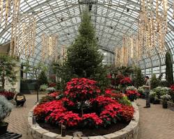 Image of Wreath Workshop at the Garfield Park Conservatory in December
