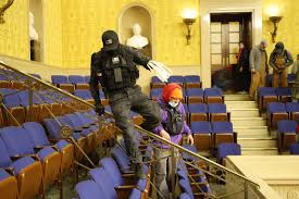 Very good colors and cute style! Was There A Plan For Hostages Or Killings At The Capitol
