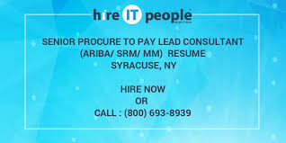 senior procure to pay lead consultant