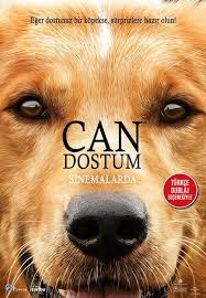 A Dog S Purpose 2017 Can Dostum Sinemalarda Bu Hafta Biograf Fandom Dvd
