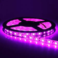BANDA LED 5050 60 LED INTERIOR MAGENTA 12W – Touch Lighting