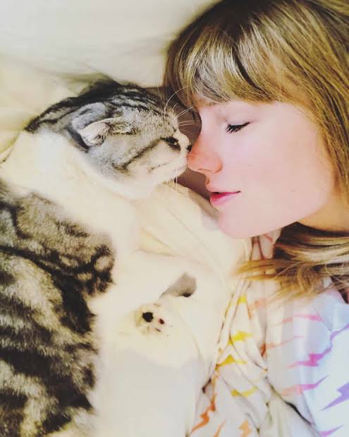 Kylie Kelce jokes Travis Kelce is becoming a cat person now that he's  dating Taylor Swift