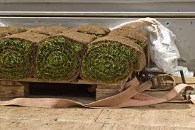Rollrasen Verlegen In Wenigen Schritten Zum Saftigen Grun Gruner Garten Verlegen Rasen