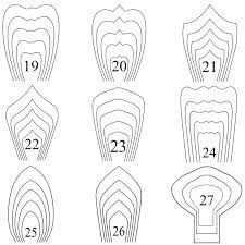 Cardstock flowers take more time but really pack a polished punch, if done well. Bundle 2 All 20 Pdf Svg Paper Flower Template Giant Paper Flower Paper Flower Pattern Bundle Template Large Paper Flower Paper Flower Kit Flores De Papel Molde Tutorial De Flores De