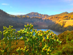 Setelah segala persiapan sudah selesai, termasuk makan pagi. Packages Mount Semeru Operator Mancanegara