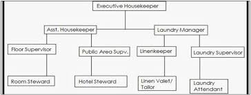 Comprehensive Case Study On Hotel Management