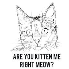 Black And White Cat Drawing Face Kitten Me Right Meow T Shirt By Mralan Cat Face Drawing Animal Drawings Cat Sketch