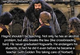 harry potter confessions. — Hagrid shouldn't be teaching. Not only he has  an...