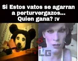 Murió actriz trans del video viral 'obedece a la morsa'. Este Maldito Oso Diabolico Esta Aterrorizando A Facebook Y Te Podria Pasar A Ti