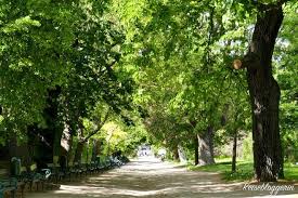Der Botanische Garten In Wien Eine Oase Mitten In Der Stadt