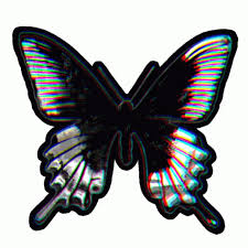 You can choose the most popular free fly butterfly gifs to your phone or computer. Pin On Awesome Gifs