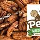 Pecan Music Festival - Downtown Whiteville event image