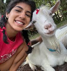 Groovy Goat Farm FL