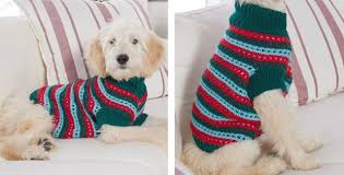 Easy to intermediate knit your own outdoors dog complete with coat and wellie boots with this cute little. Stylish Knitted Dog Sweater Free Knitting Pattern