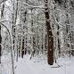 Winter Hike on the Hill event in Milton, MA