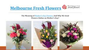 We did not find results for: The Meaning Of Mother S Day Flowers Melbourne Fresh Flowers By Fresh Flowers Issuu