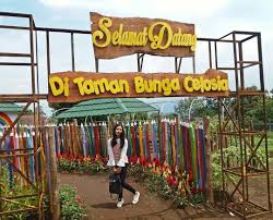 Rumah tamu bertaraf 3 bintang ini menawarkan lounge berkongsi dan meja tempahan lawatan. Lokasi Dan Harga Tiket Masuk Taman Bunga Celosia Bandungan Semarang Spot Wisata Ngehits Ala Liburan Di Negeri Dongeng Daka Tour