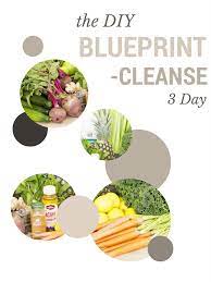 After getting home from hawaii, i needed a cleanse and a reason to use my omega juicer. Diy Blueprint Cleanse Les Petits Gazette