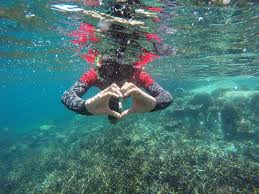 Blog about my tioman snorkeling trip at renggis island, coral island and malang rocks. 2021 4d3n Aman Tioman Beach Resort Snorkeling Package Pulau Tioman Ami Travel Tours