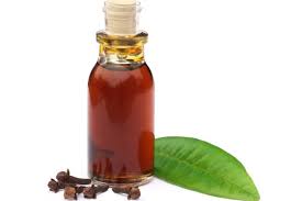 Clove oil can be used for internal benefits like supporting the immune system and digestive system. Shay And Company Clove Leaf Essential Oil Shay And Company