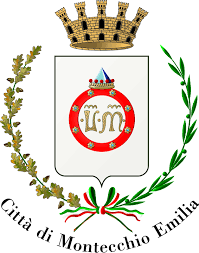 Image result for comune di reggio emilia
