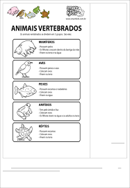 Grátis: 3º BIMESTRE - BLOCO 5 - 26-07-21 a 27-08-21 - 3º ano C (1) -  Material Claro e Objetivo em PDF para Estudo Rápido