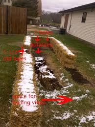 Résultat de recherche d'images pour "straw bale garden"