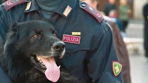 Via l'altezza minima per arruolarsi in polizia, forze armate e vigli del fuoco. Come Entrare Nei Cinofili Della Polizia Ecco Come Diventare Conduttore Cinofilo Della Polizia Di Stato