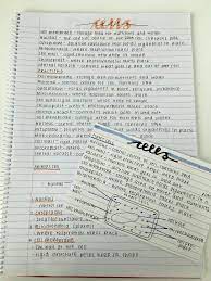 pin by jackie deluca molina on notas bonitas study flashcards science revision food for kindergarten