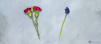Write message with black permanent marker; Mother S Day Craft Ideas Press Flowers In 3 Minutes