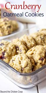 Oatmeal Cranberry Cookies Recipe Oatmeal Cranberry Cookies Oatmeal Cookies Chewy Cranberry Cookies