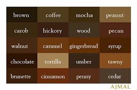 Colors And Names Brown Brown Shades Color Shades Color Names