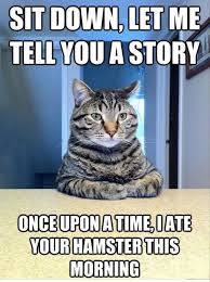 Cat Sitting At The Table Funny Cat Quotes Meme Gato Fotos Con Gatos Gatitos Divertidos