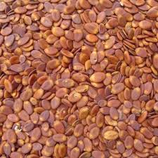 Image result for Albizia schimperiana