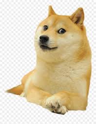 Today we explore a classic meme and discover it's origin and history of one of. Doge Png Hd Doge Meme Transparent Png Download Vhv