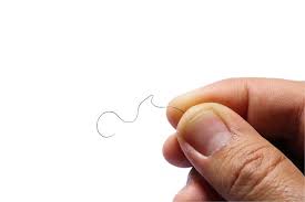 Pubic Hair Care Styles Removal Trends Who Magazine