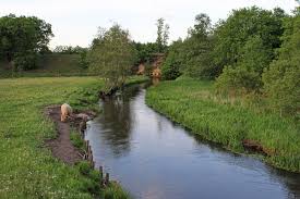 am fluss der riesenforellen fluss forelle forellenangeln