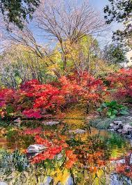 Fall Foliage In The Japanese Gardens Japanese Garden Fall Foliage Zen Garden