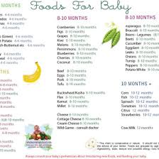 Www Wholesomebabyfood Com Handy For The Next Few Months