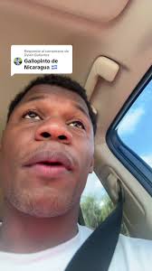 Origen del Gallo Pinto: ¿De Costa Rica o Nicaragua?