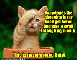Let's debunk the think acronym myth and find out the most appropriate questions for each initial. Think Before You Speak Or Not Lolcats Lol Cat Memes Funny Cats Funny Cat Pictures With Words On Them Funny Pictures Lol Cat Memes Lol Cats