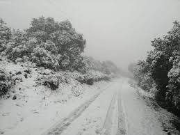 Comenzo A Nevar En Sombrerete Zacatecas Noticias Express Zacatecas
