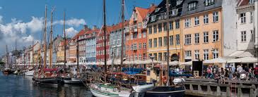 Image result for Caroxylon littoralis