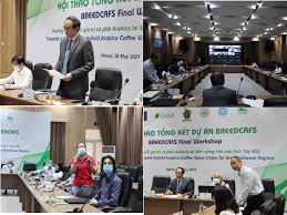 That reward will fall to 6.25 bitcoins in may 2020. News Breedcafs