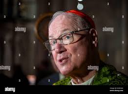 Reminisces hi-res stock photography and images