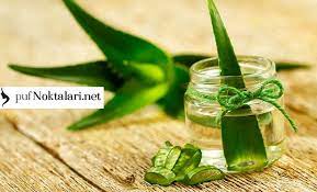 Aloe Vera Jeli Faydalari Aloe Vera Jeli Nasil Yapili Evde Aloe Vera Jeli Cikarmak Ve Aloe Vera Jel Kullanimi Aloe Vera Jelinin Saca V Aloe Sifali Otlar Bitki